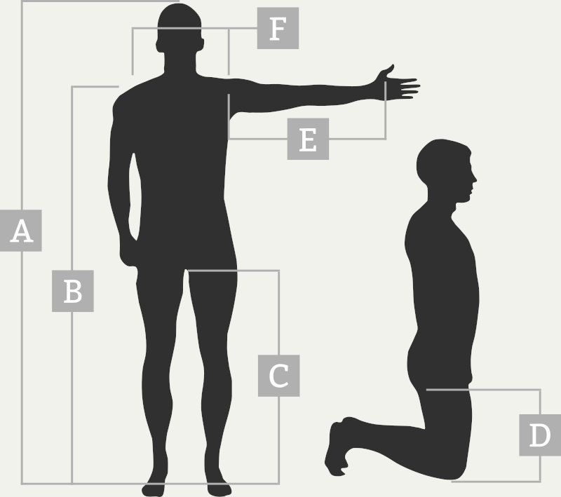 body measurement